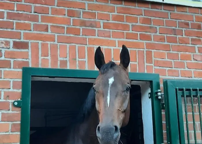 Gemuetliches Gaestehaus *